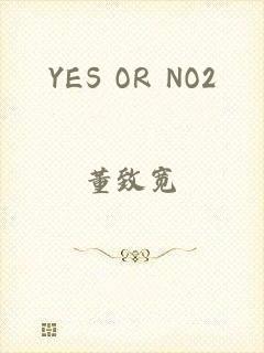 YES OR NO2